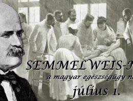 Semmelweis Nap